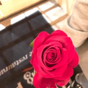 Meet your Posher, Aalexandra